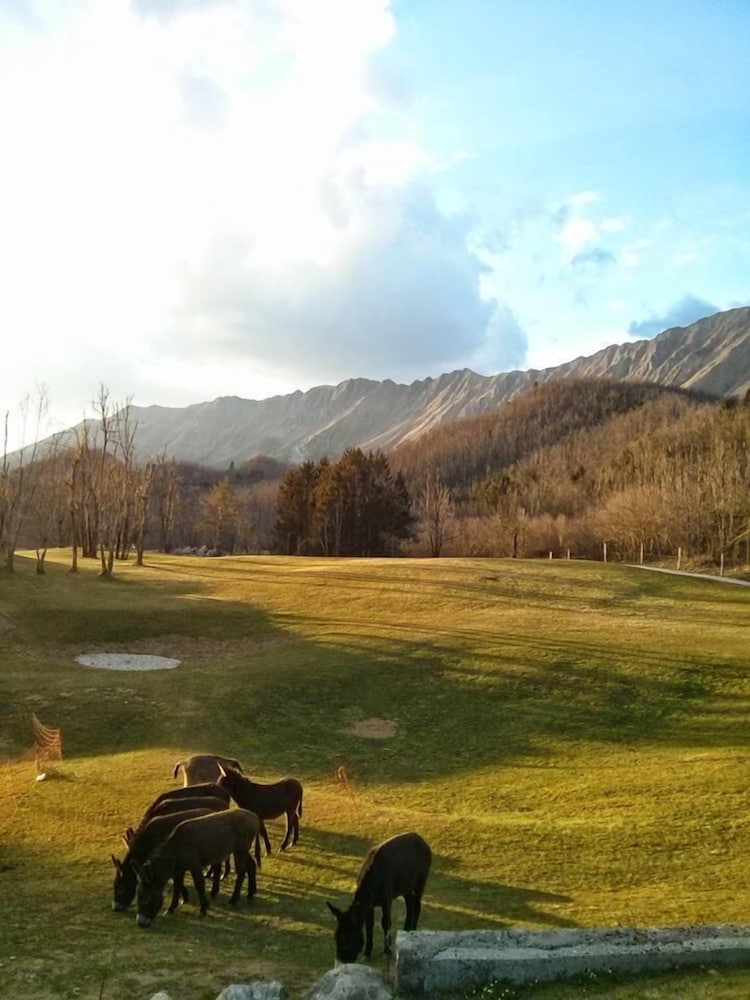 Фото Casa Narauni - Chalet nel Bonis