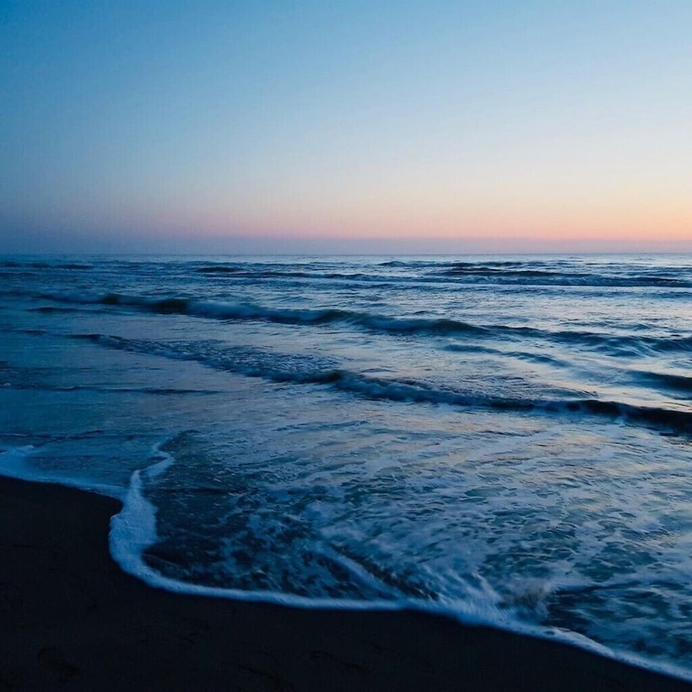 Фото Pasho's House