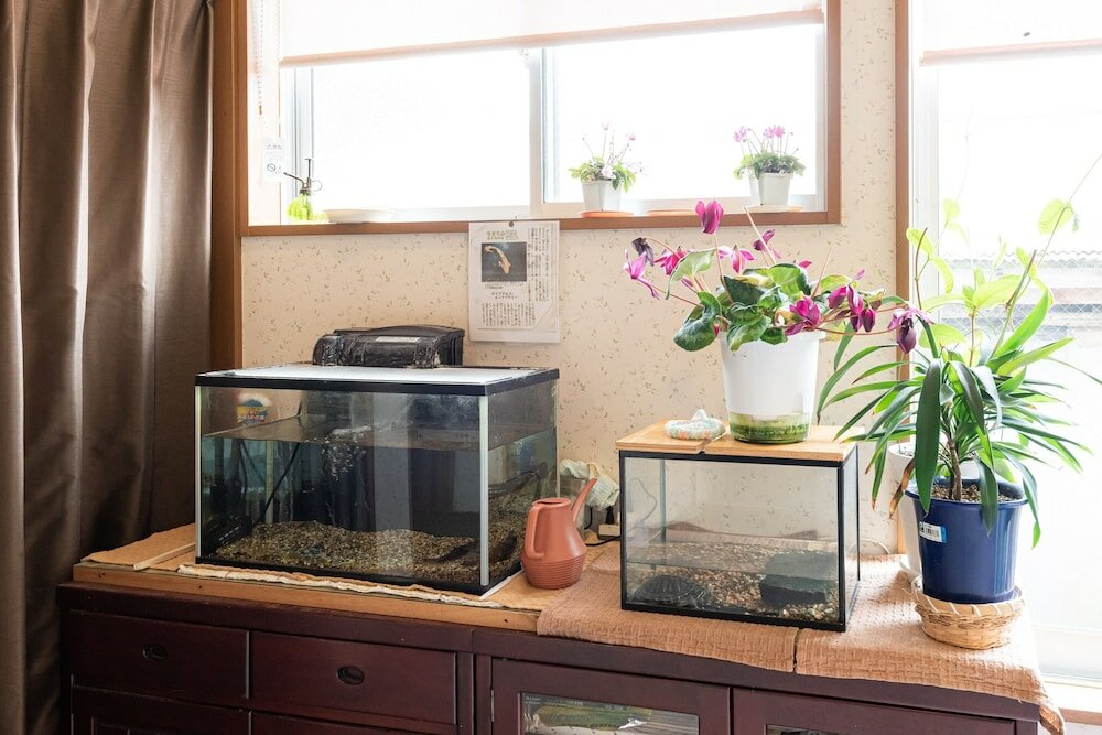 Фото Tabist Minshuku Kyouguchiya Hachibuse