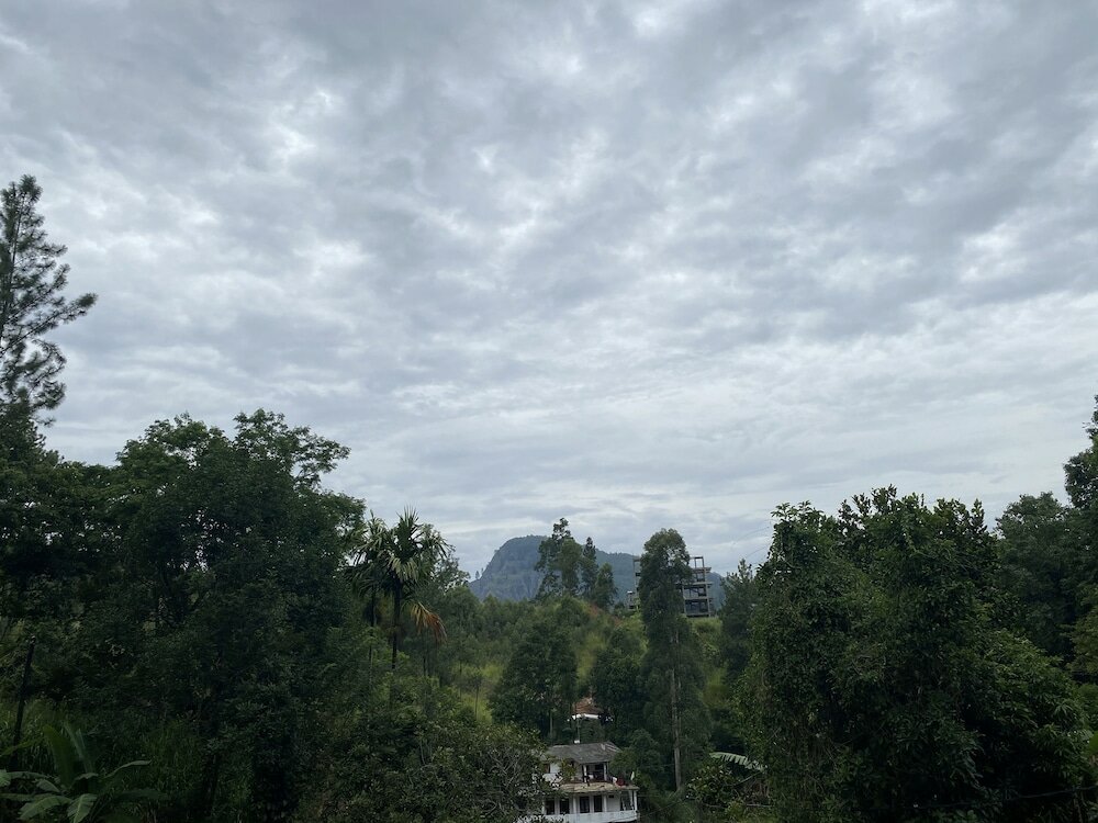 Фото Misty Elegance Ella