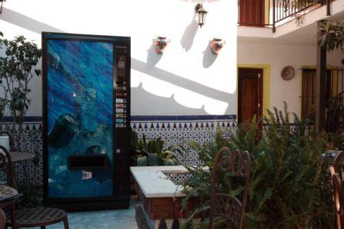 Фото Pension Aduar