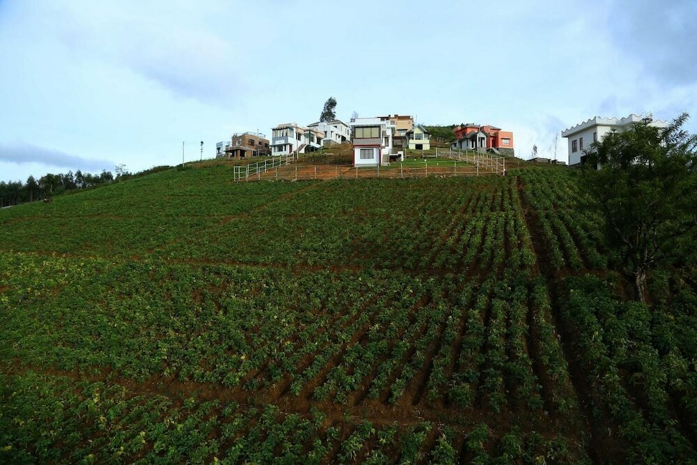 Фото Vridhavan Mist City