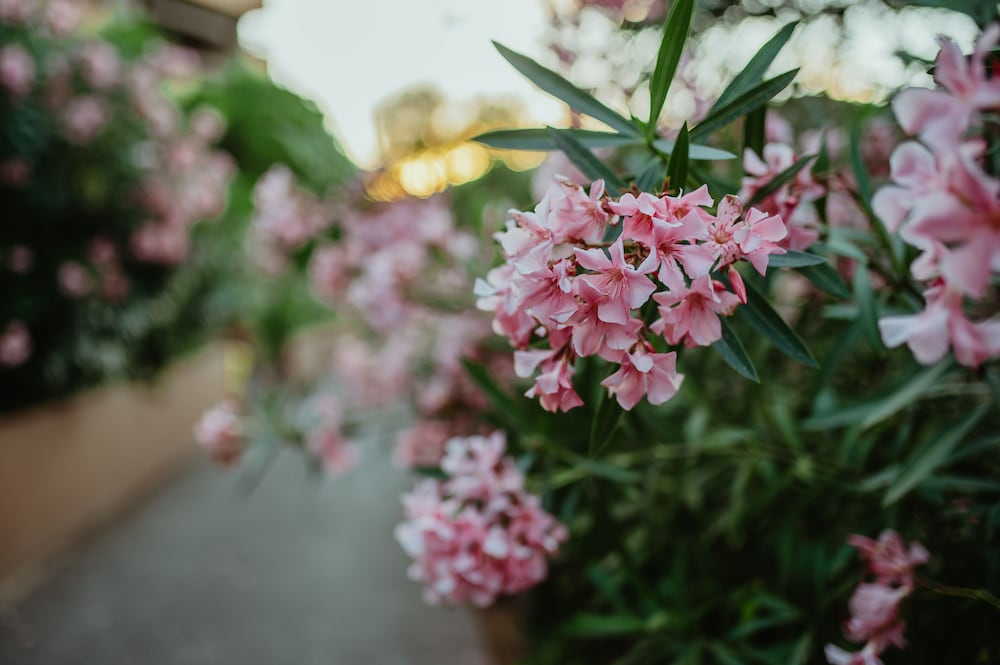 Фото Zel Costa Brava