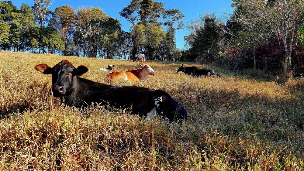 Фото Sítio Belucci