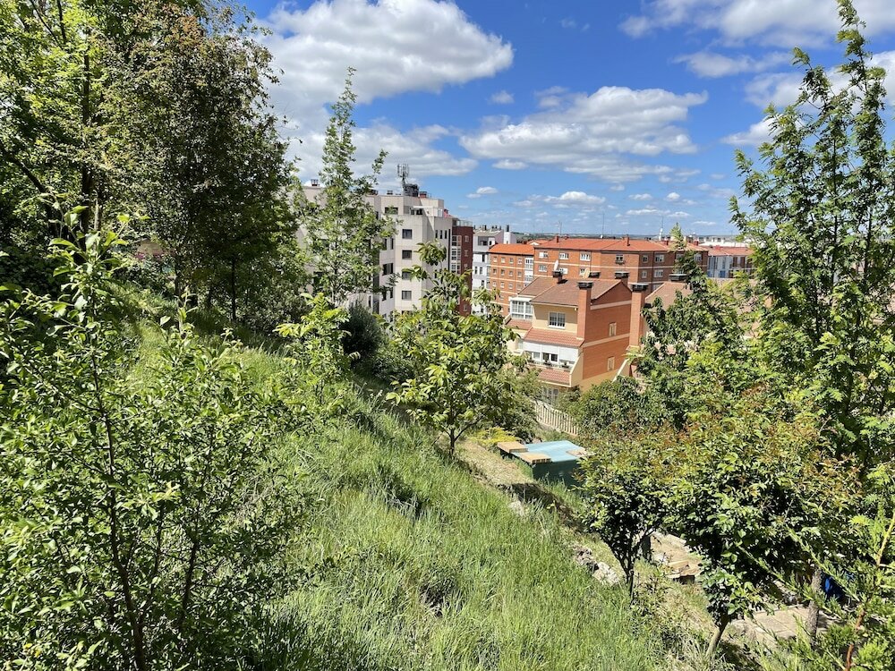 Фото Apartamentos Aljama