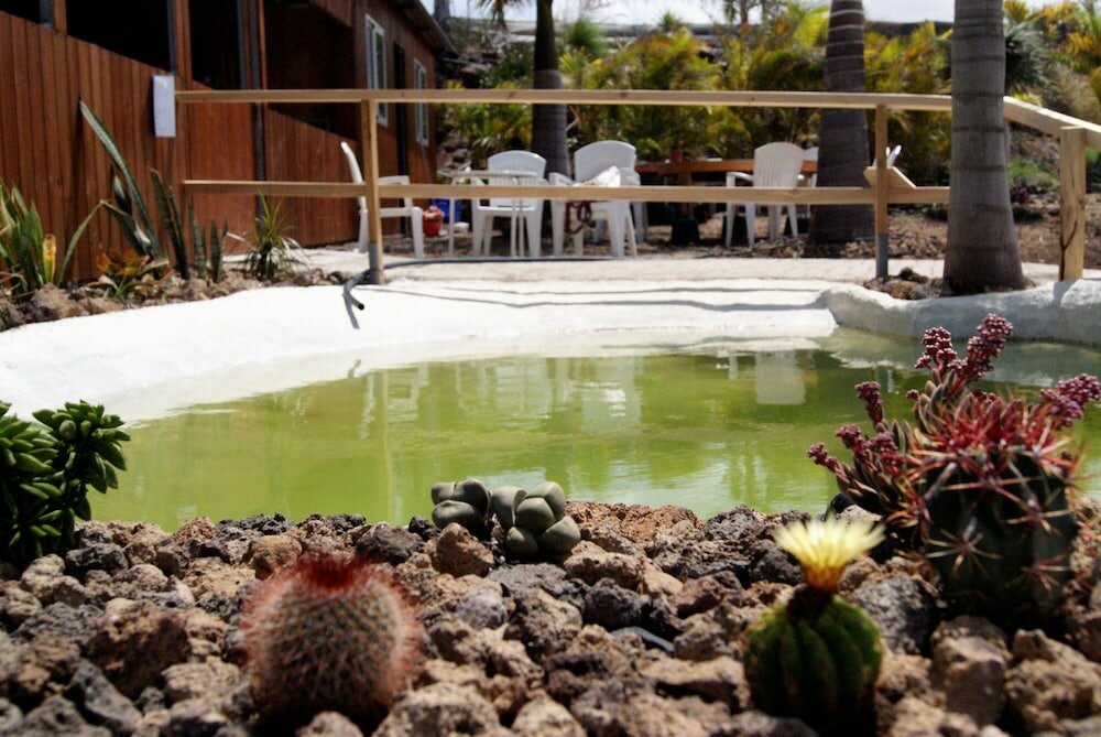 Фото Agro Camping Invernaderito