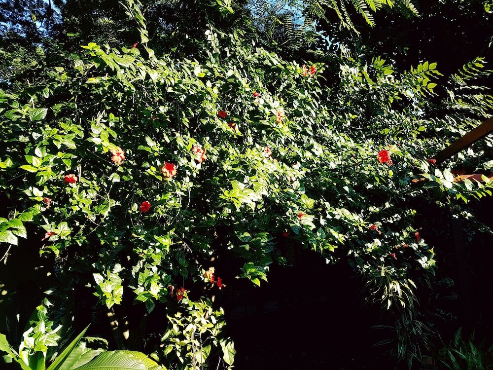 Фото Hosteria Los Helechos