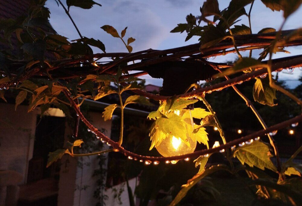 Фото Casa Folks Bed and Breakfast