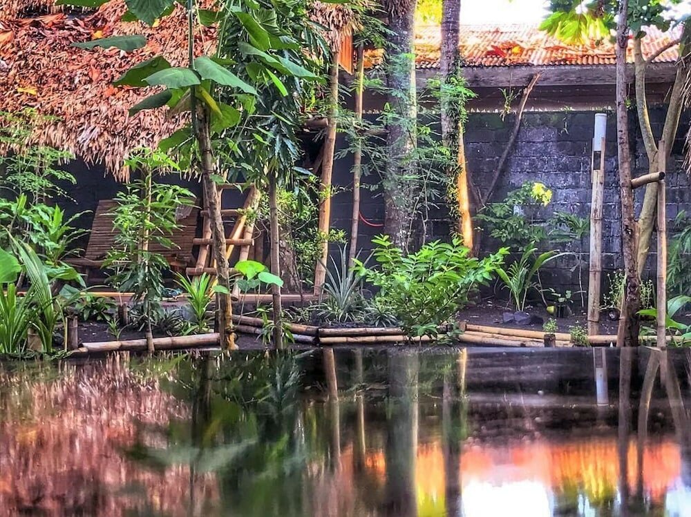 Фото Dream-Big Eco Hostel