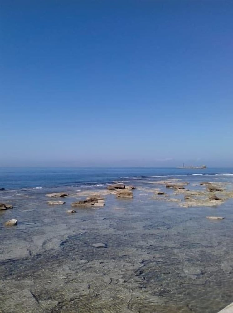 Фото Mercato centrale City Center Apartment