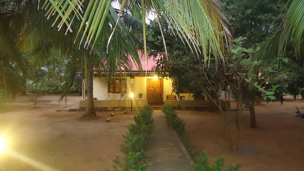 Фото Yala Big Game Drive with Heina Eco Team