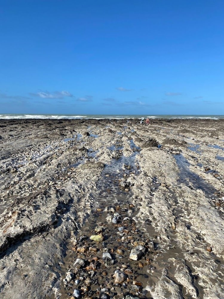 Фото Parc Beausejour Dieppe