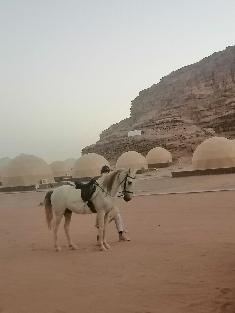 Фото Camp Emilia Rum