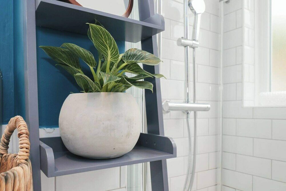 Фото Lovely 1bd Flat -prime Brighton Location w Garden!