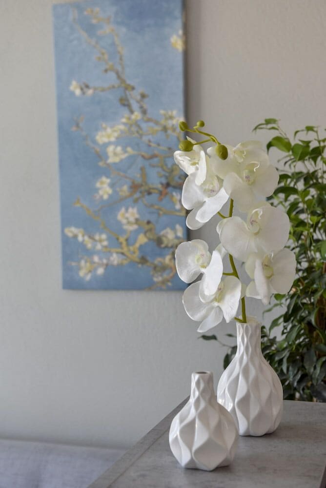 Фото Alos Utopia