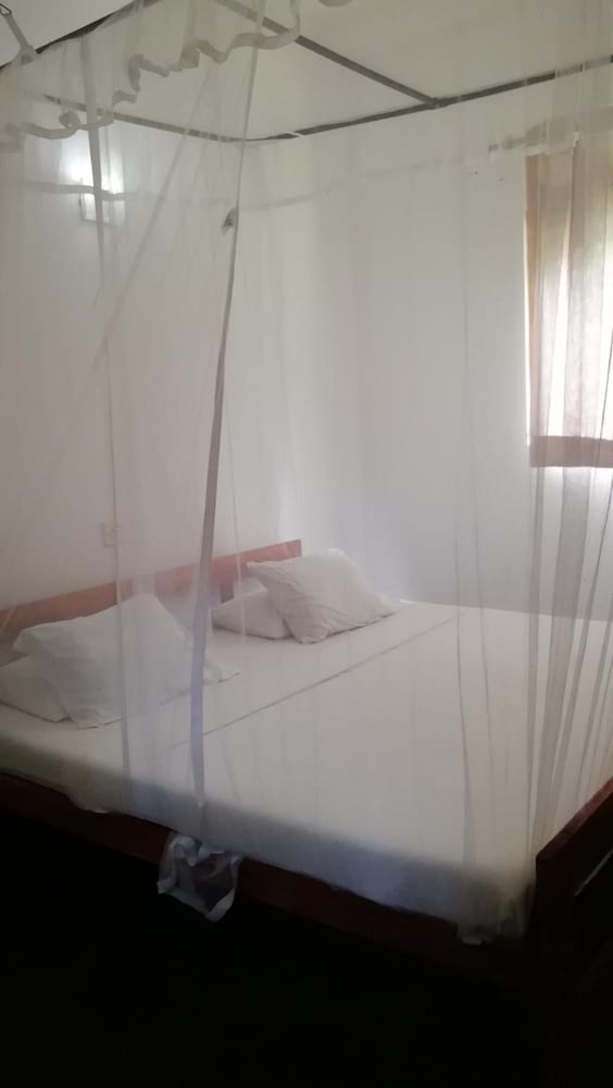 Фото Talalla BnB