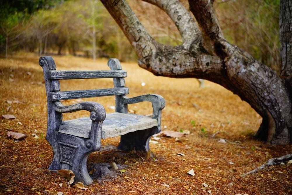 Фото Water's Edge Anuradhapura
