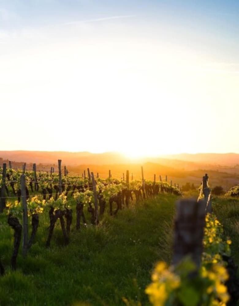 Фото Maison Cabotte