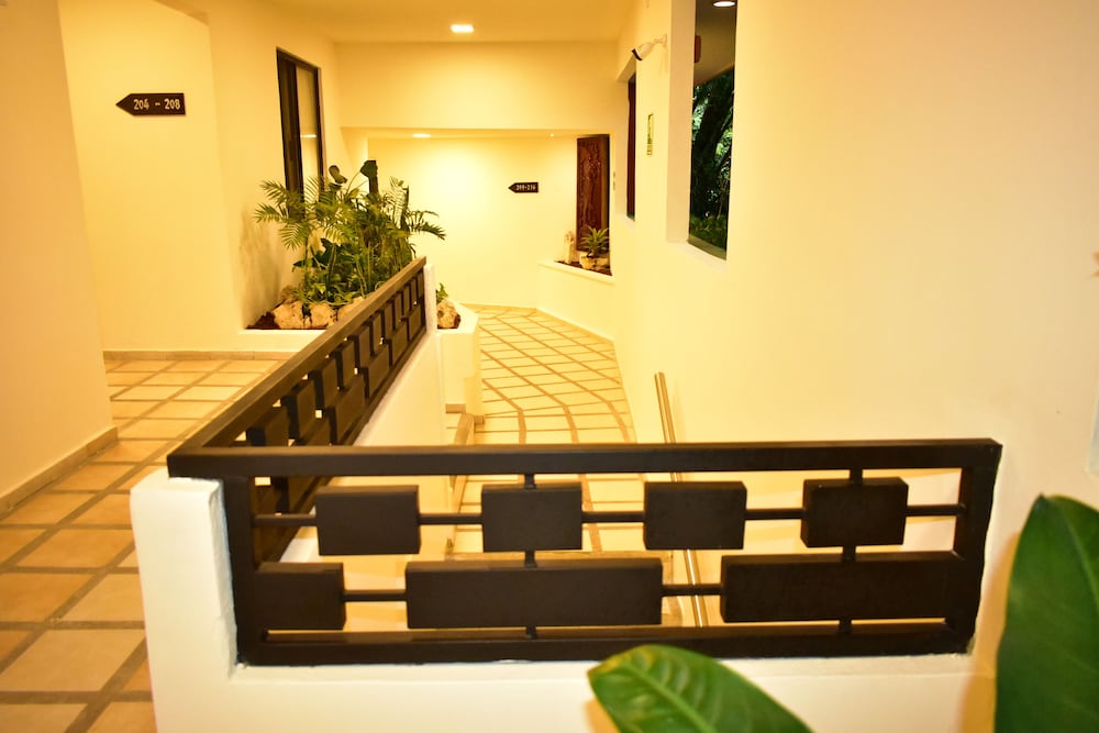 Фото Maya Tulipanes Express