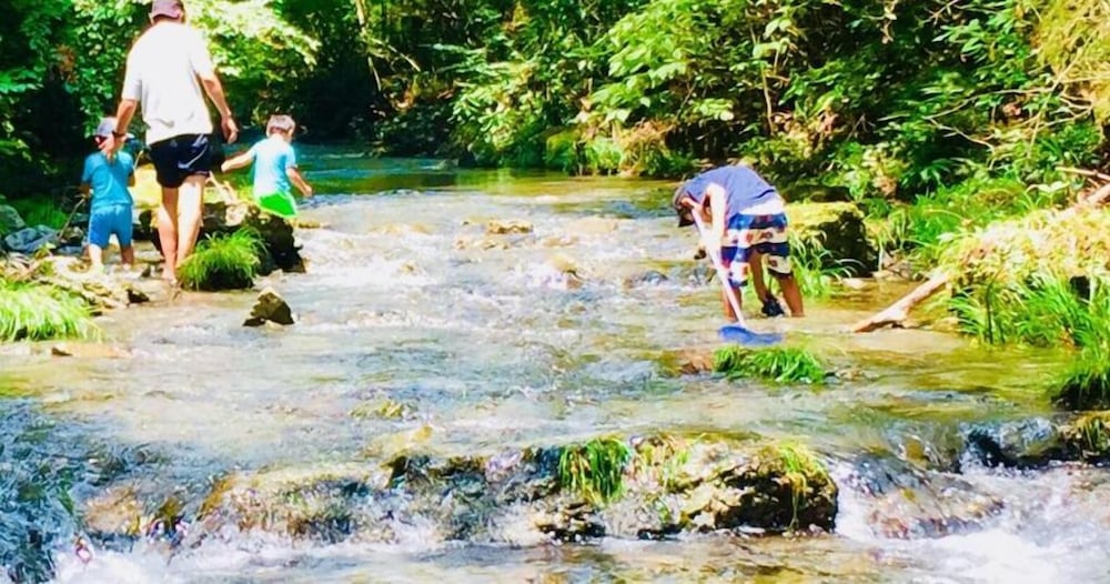 Фото Vanguard Backpackers - Hostel