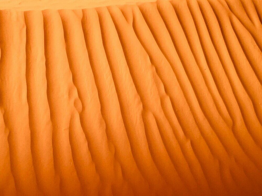 Фото Jnane Albacha