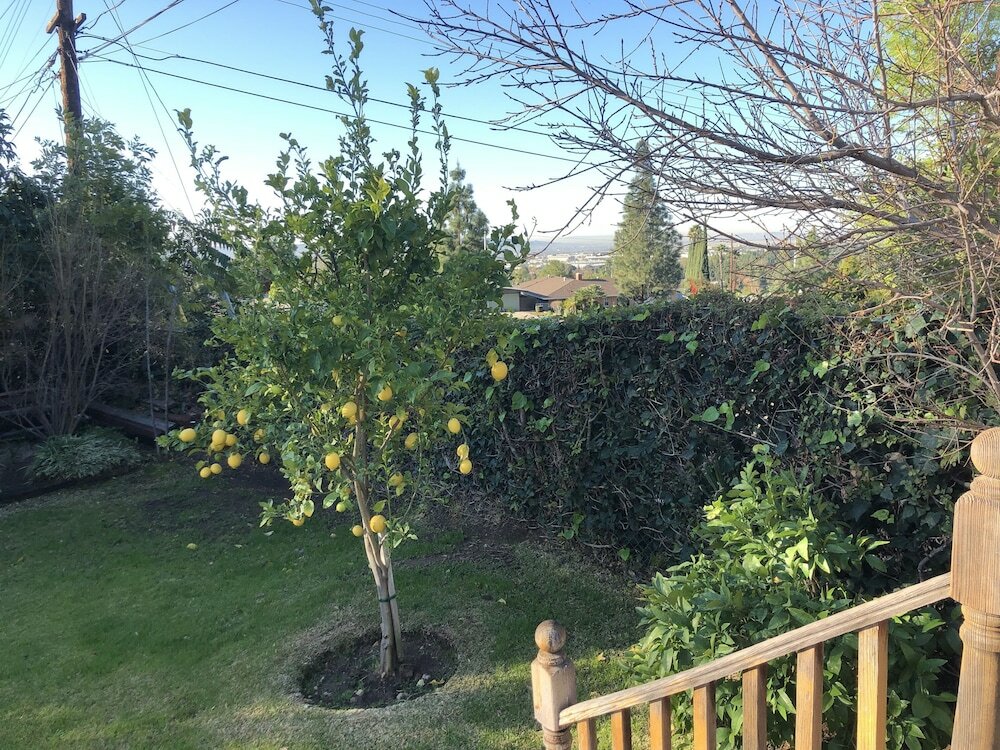 Фото Beautiful House Fantastic View Azusa California
