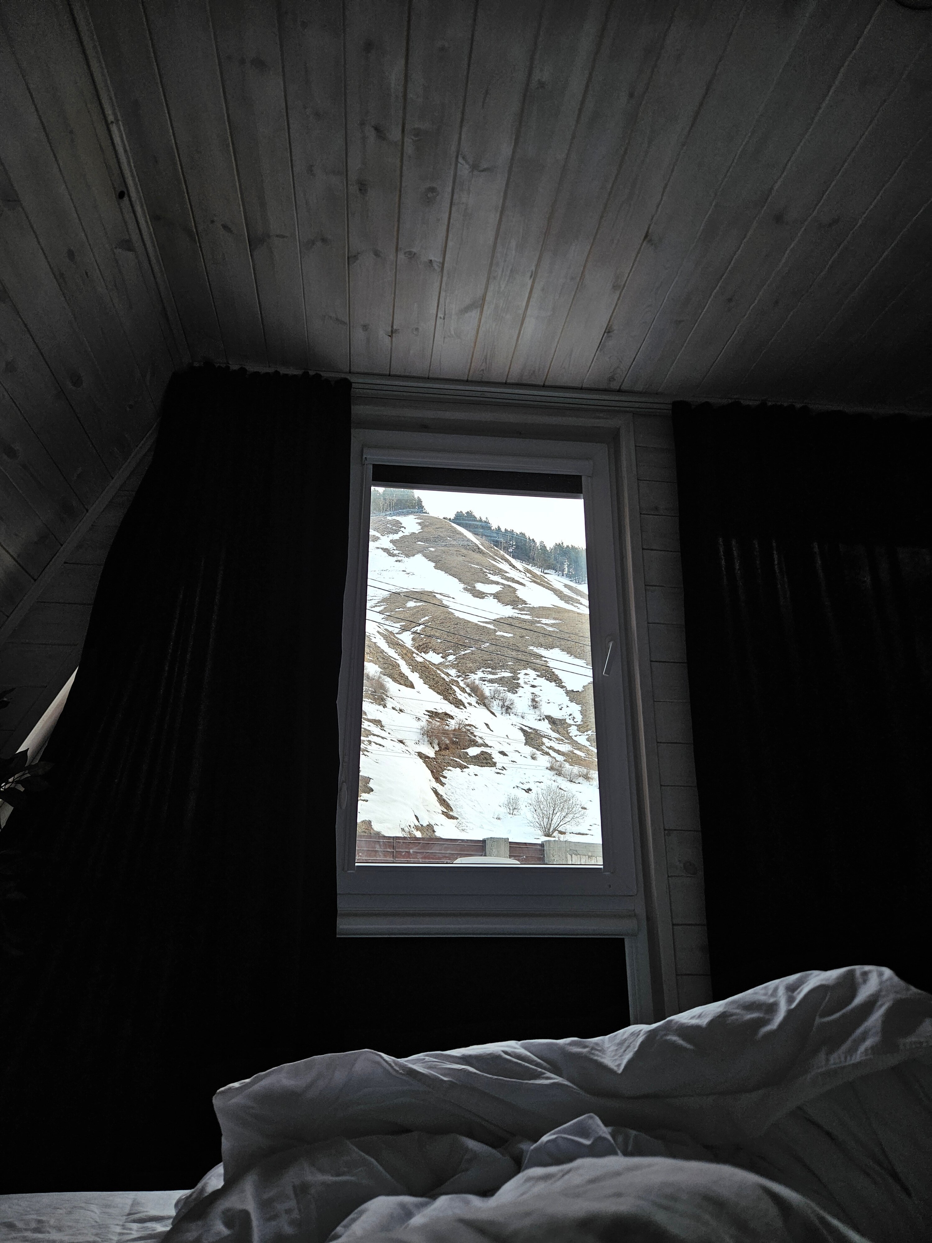 Фото Pine Wood Elbrus