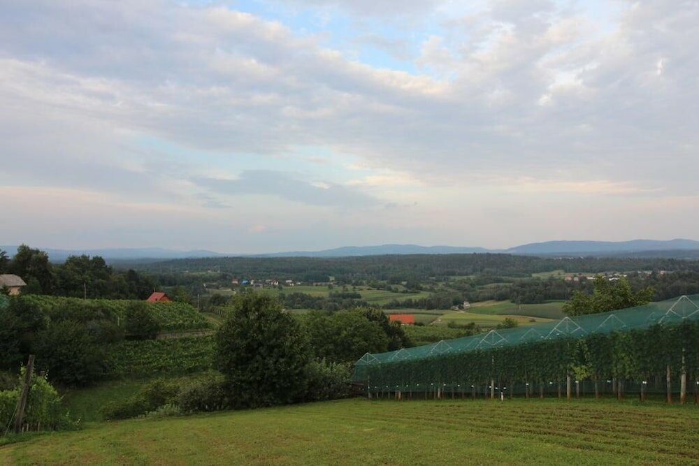 Фото Vineyard Cottage Stepan