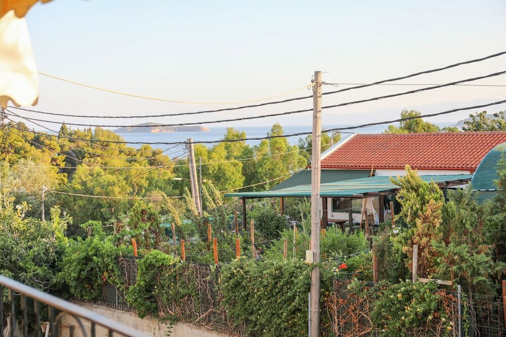 Фото Antonia House