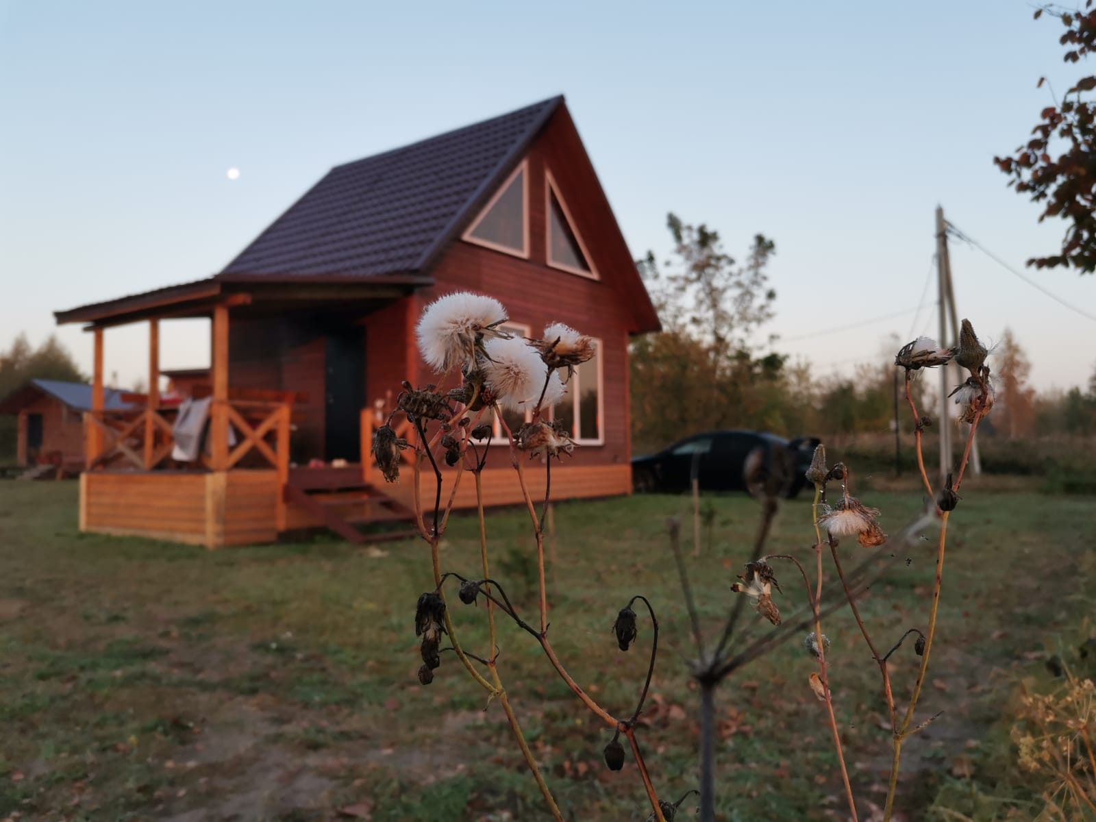 Фото Фактория