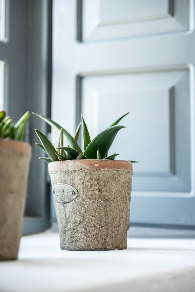 Фото Arck Suites