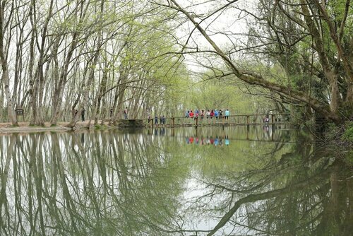 Гостиница Huangshan Wangshan Life Diaoxue Garden