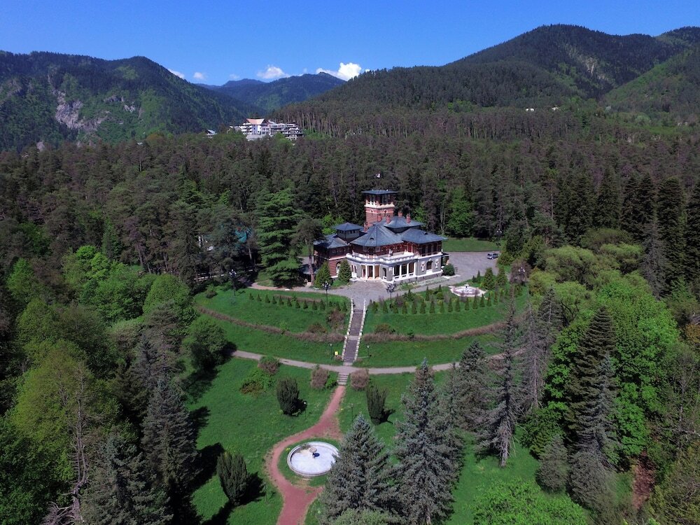 Фото Borjomi Likani