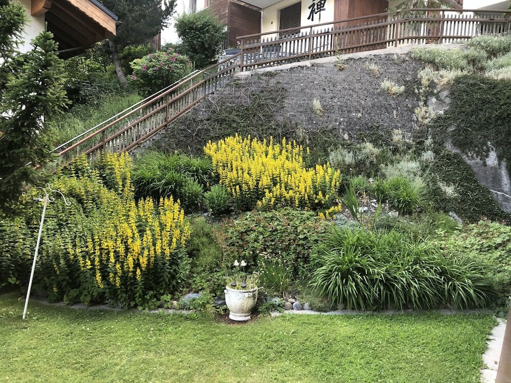 Фото Snowflake family apart. Ski in& out