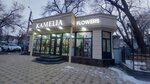 Kamelia (Abaya Avenue, 150) ، محل زهور