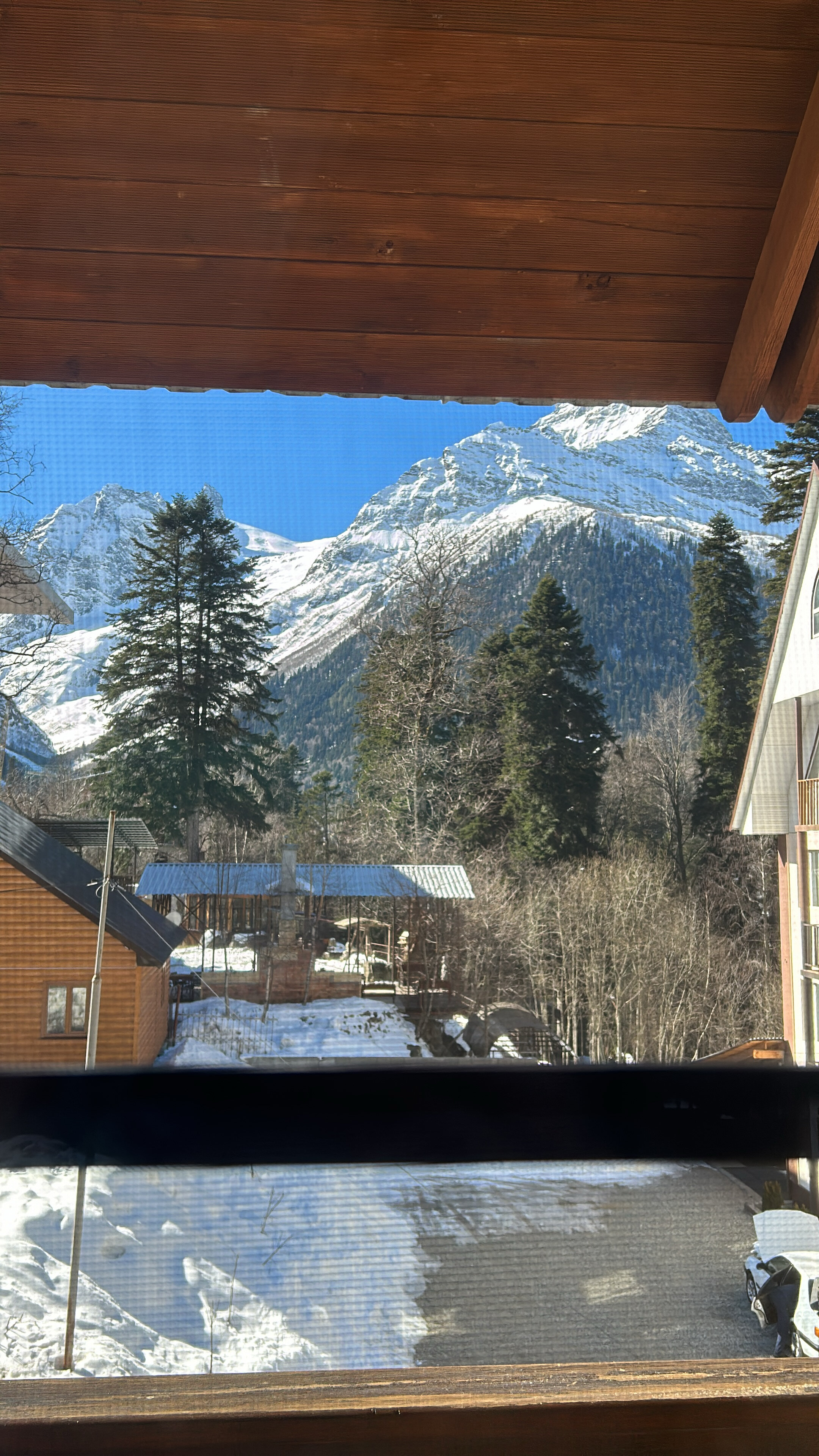 Фото Дубки Snow Point