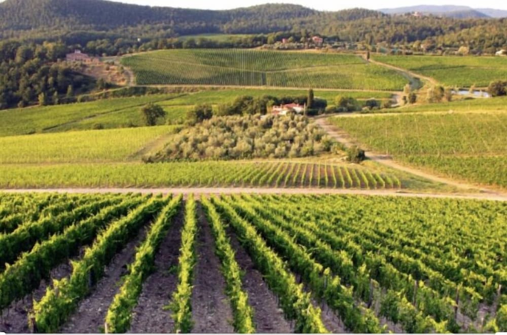 Фото La Locanda di Corrado