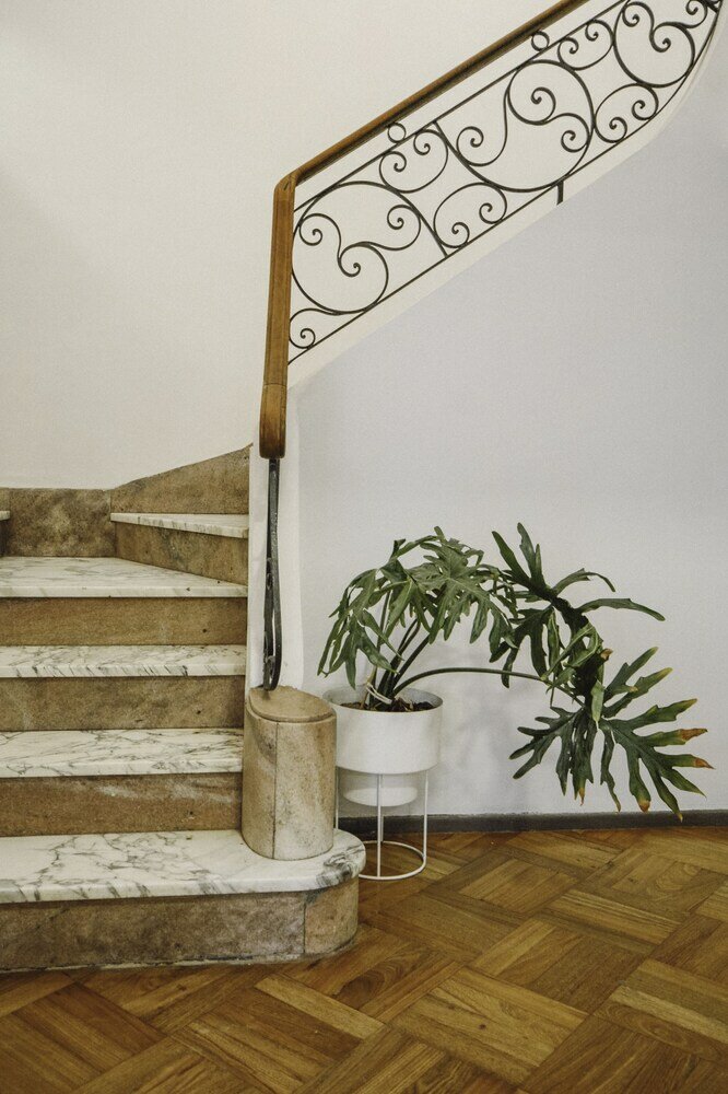 Фото Anden Aristides