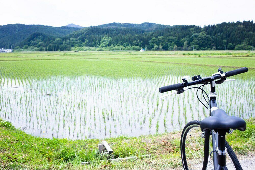 Фото Minpaku Ambo