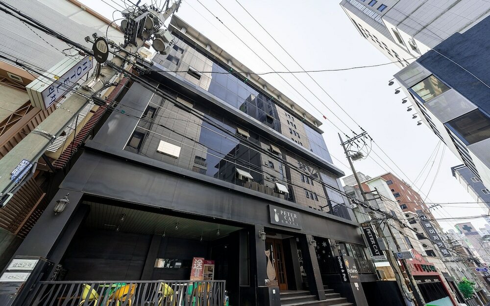 Фото Shinchon Peter Cat