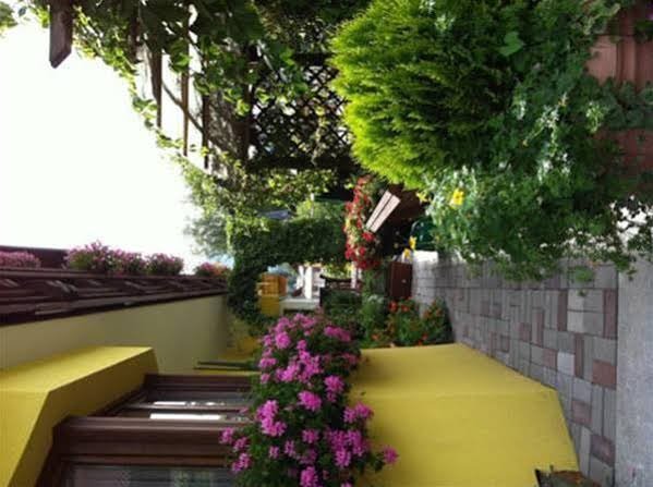 Фото Hotel Metropol