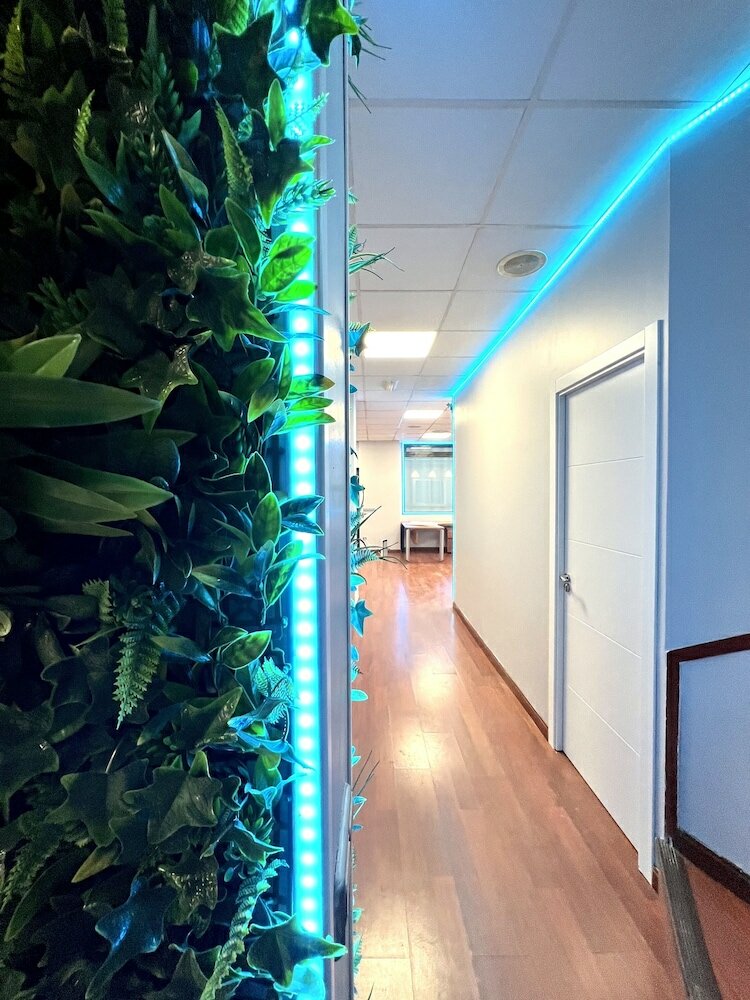 Фото Hostel Thirty One