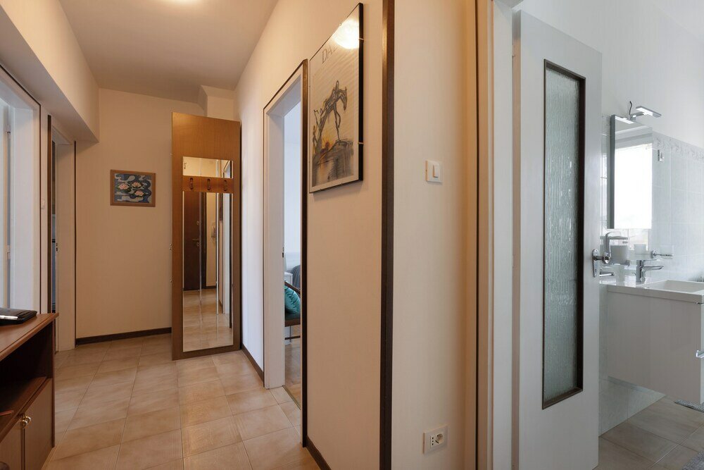 Фото The Black Swan