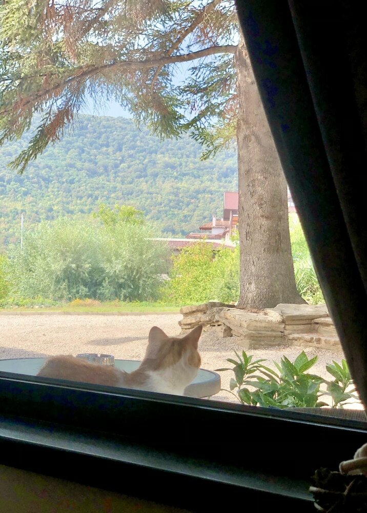 Фото Drive Point