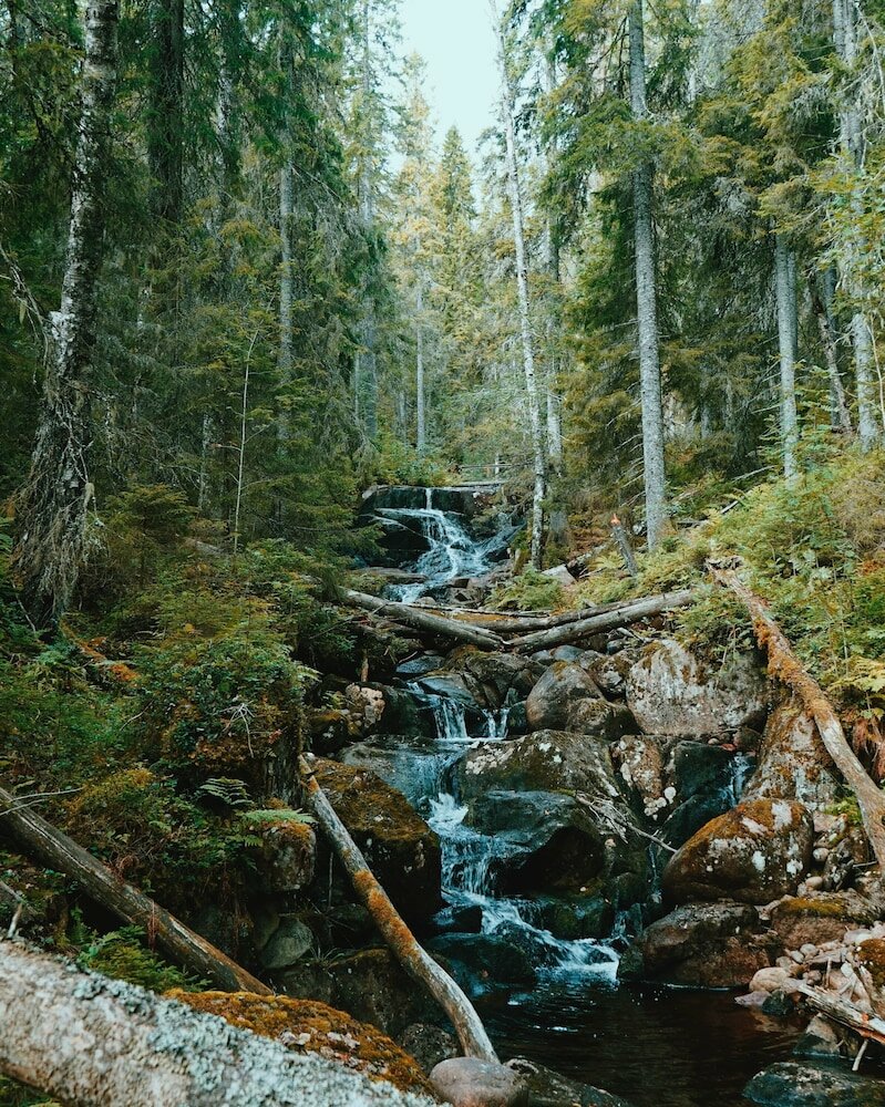 Фото Arctic Light Holiday House
