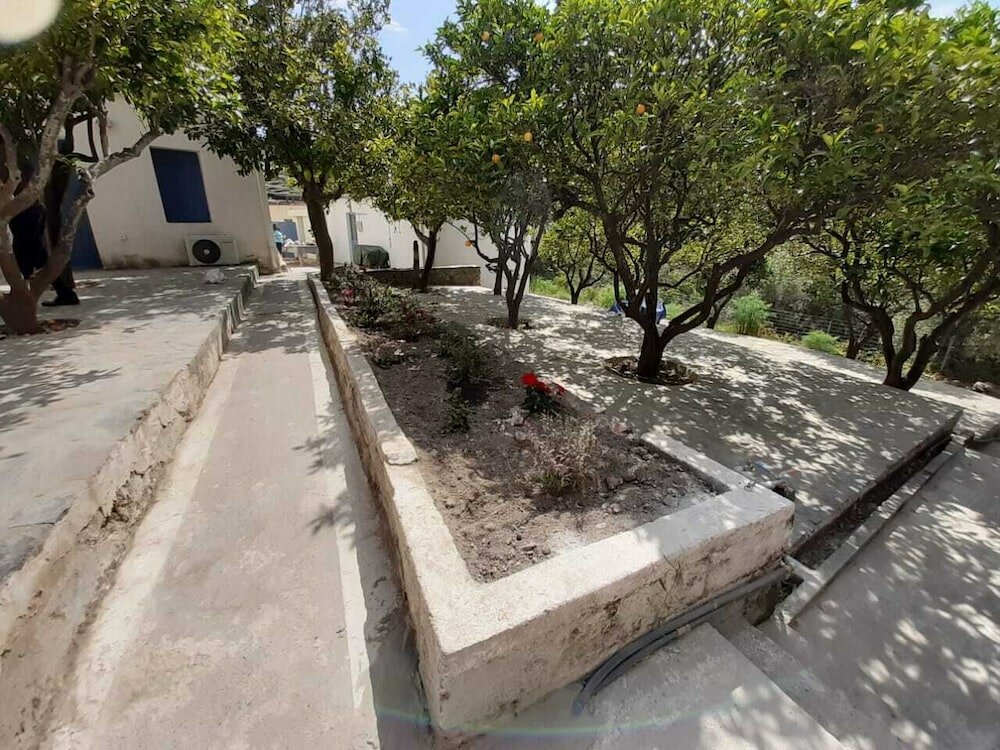 Фото Diamoni Afroditi