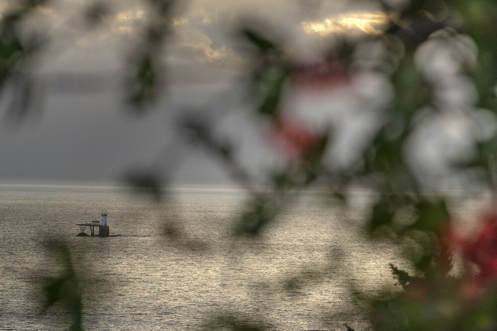 Фото The Grosvenor Guest House