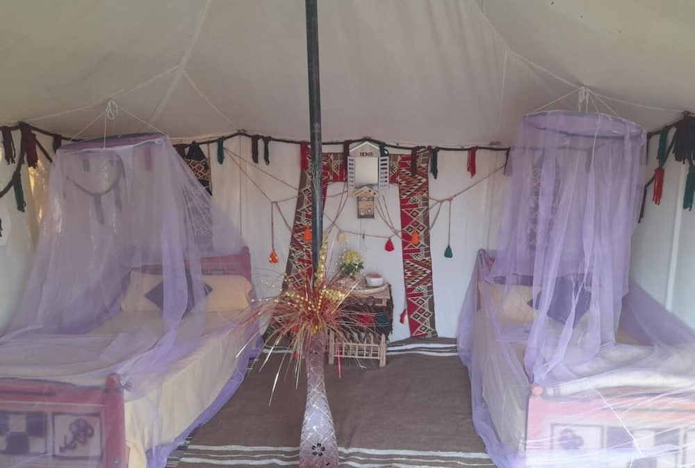 Фото Stars Camp Oasis