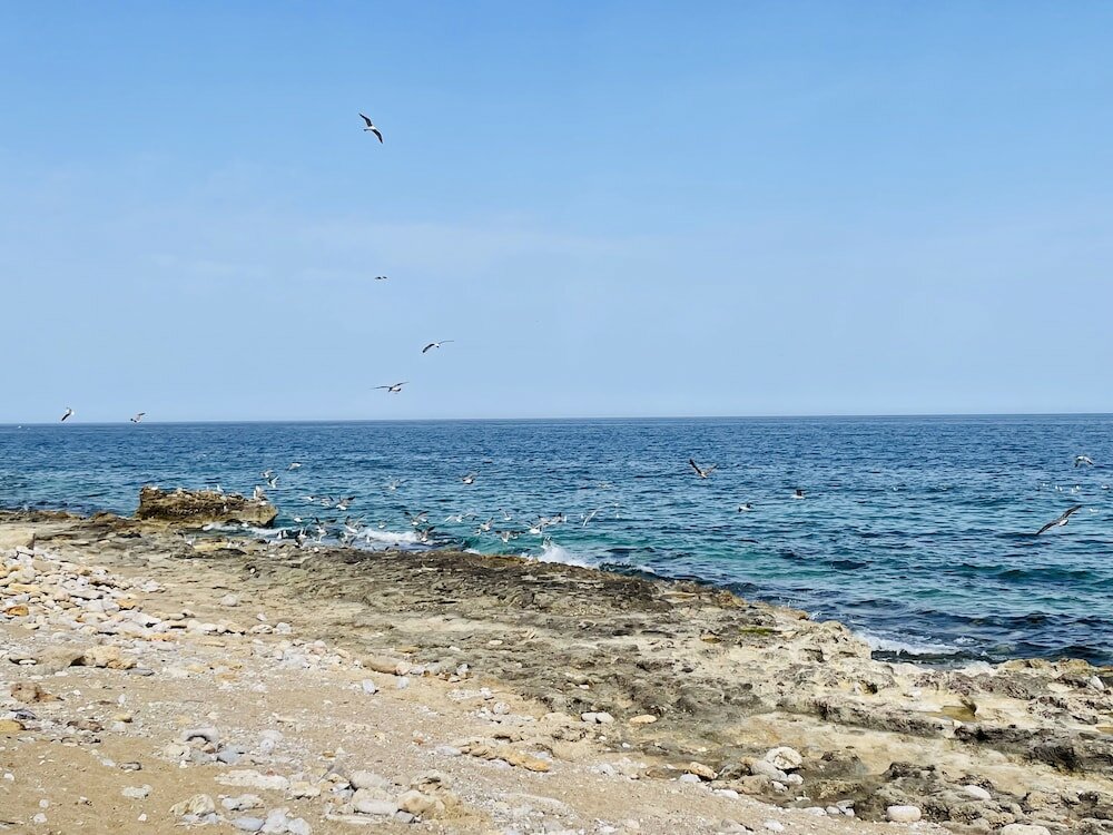 Фото Marina Holiday Home