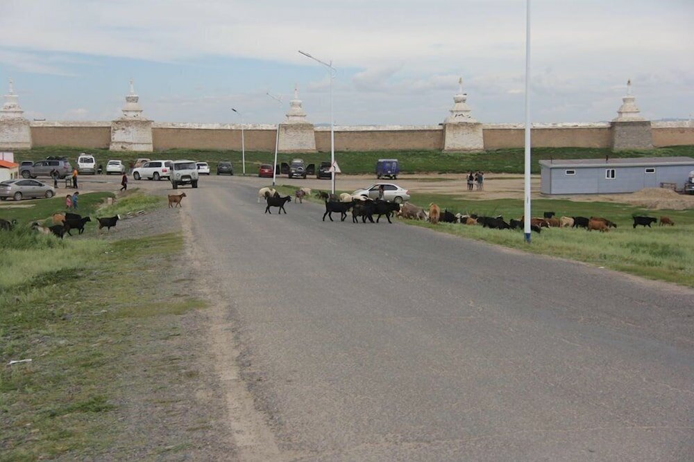 Фото Gaya's guesthouse